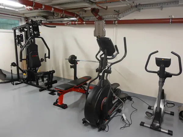 Dienstsport